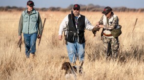 HPR GSP wing shooting in SA